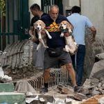 Perros-y-gatos-rescatados-tras-los-terremotos-en-Venezuela-1