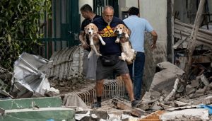 Perros-y-gatos-rescatados-tras-los-terremotos-en-Venezuela-1