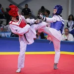 Taekwondo