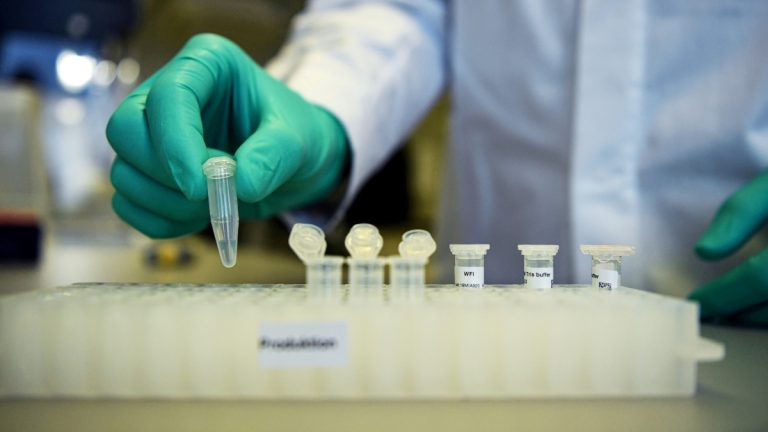 biologia