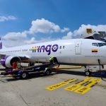 wingo-1