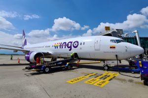 wingo-1