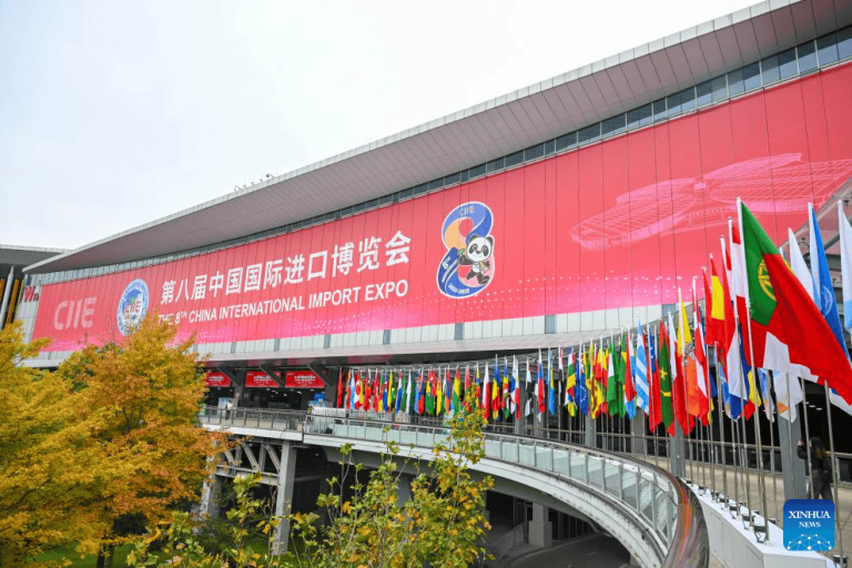 ElprimerministrochinoLiQianghainauguradolaceremoniadela8aCIIEPic1.jpg
