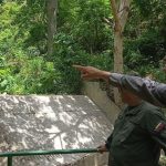 IMG_20260702_194012_537
