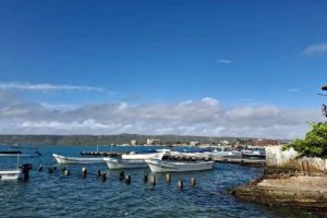 IMG_20260723_142907_239