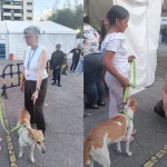 Perros.jpg