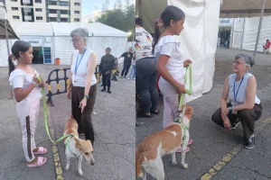 Perros.jpg