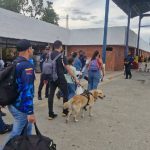 Proyecto-nuevo-2-10