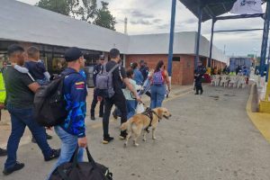 Proyecto-nuevo-2-10