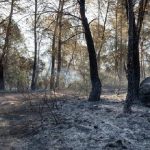 Proyecto-nuevo4