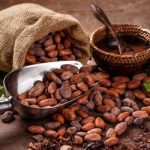 cacao-e1533849112880