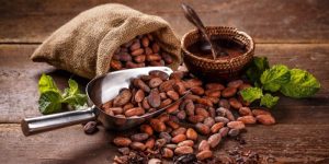 cacao-e1533849112880
