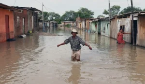 captura-de-pantalla-2026-07-02-143505.jpg