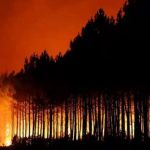 incendio-forestal--696x505
