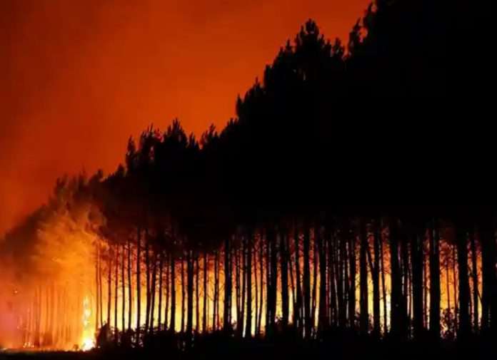 incendio-forestal--696x505
