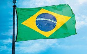 simbolo-patrio-brasilena-ocupo-quinto_0_28_785_489
