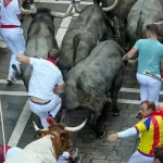 toros-ganaderia-jose-escolar-gil-paso-callle-estafeta-quinto-encierro-sanfermines-2026-este-sabado-pamplona_60
