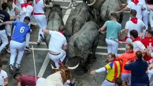 toros-ganaderia-jose-escolar-gil-paso-callle-estafeta-quinto-encierro-sanfermines-2026-este-sabado-pamplona_60
