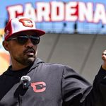 Cardenales