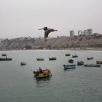 IMG_20260801_151902_146