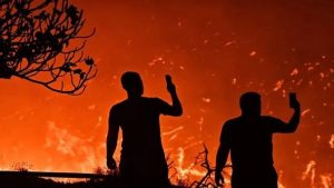 IMG_20260802_110813_812