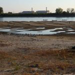 IMG_20260813_175012_925