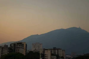 POLVO.jpg