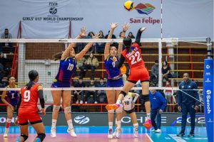 Voleibol
