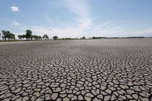 images (3)