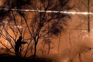incendios-1.jpg