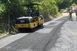 1002770331