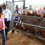 IMG_20260912_154730_322