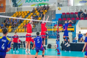 Voleibol