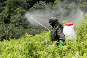glifosato-colombia (1)