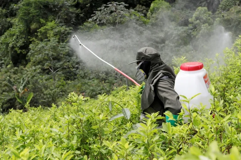 glifosato-colombia (1)