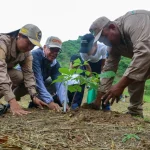 mas-300-plantas-sembradas-parque-itagua.jpg