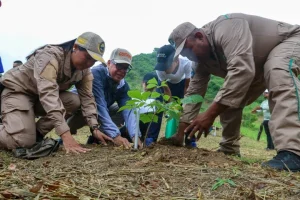 mas-300-plantas-sembradas-parque-itagua.jpg