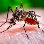 Peru-registra-80-mil-casos-de-dengue-en-la-peor-epidemia-de-su-historia