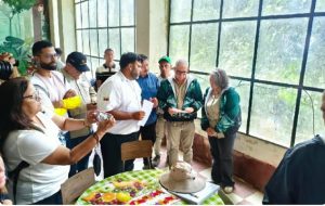Proyecto Bahía de Cata